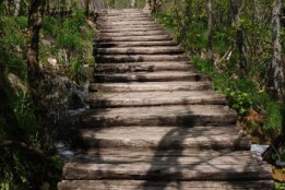 DSC2 (102).jpg